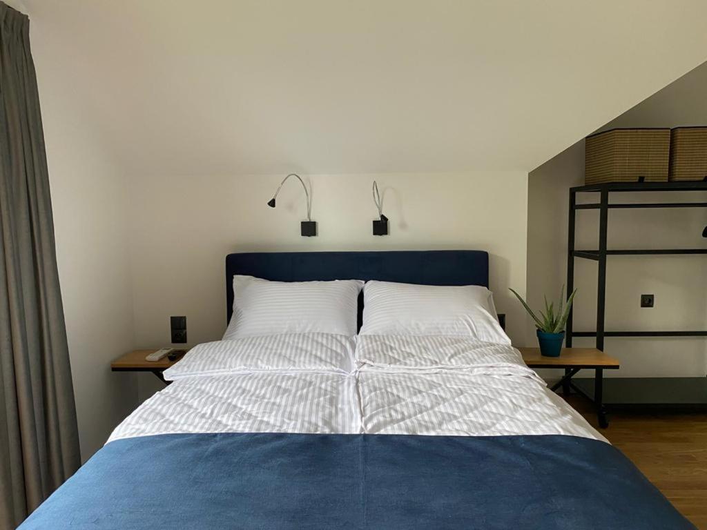 Manca Loft & Spa Мехелинки Номер фото